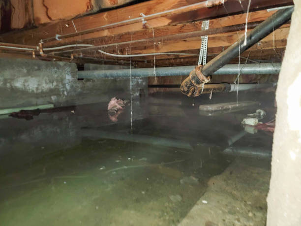 Best Water damage restoration near me  in Rancho Santa Margarita, CA