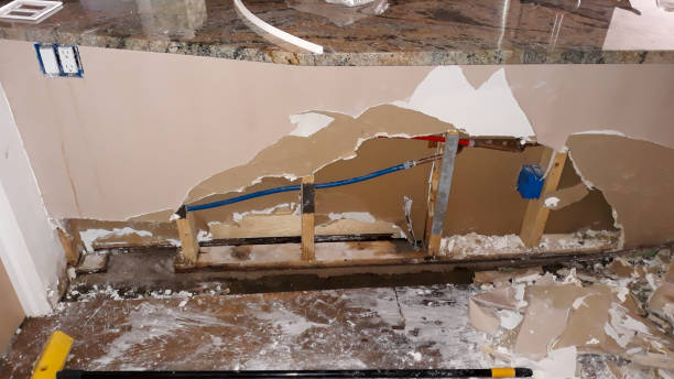 Best Professional water damage repair  in Rancho Santa Margarita, CA