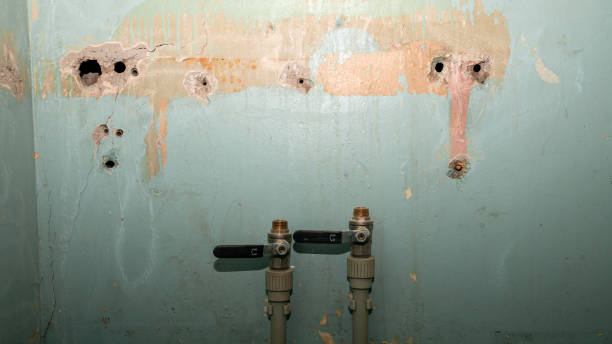 Best Flood restoration services  in Rancho Santa Margarita, CA